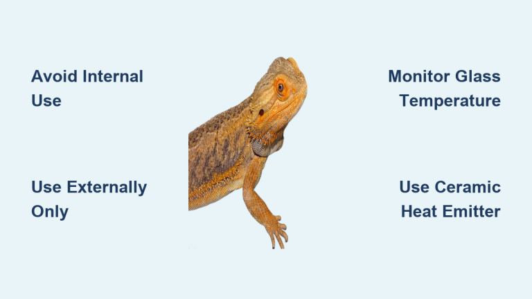 How to Use a Heating Pad for Bearded Dragons